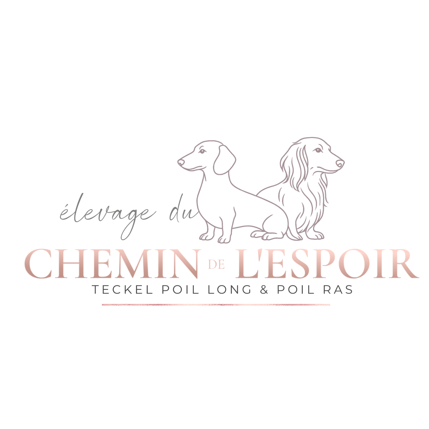 du Chemin de L'Espoir